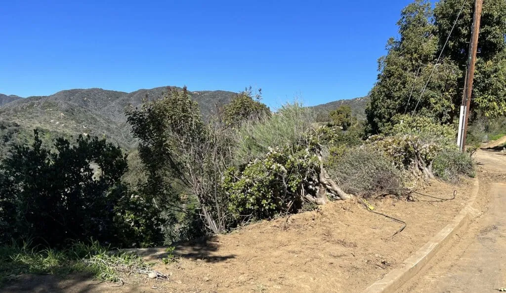 Santa Clarita hillside and neighborhood edge with dry grasses and open-space conditions.
